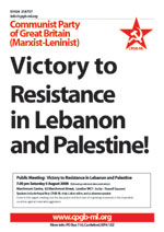 Victory to the Resistance in Lebanon and Palestine
