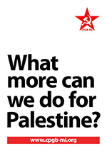What more can we do for Palestine?