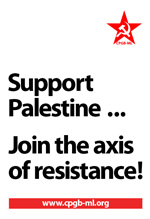 Support Palestine ... Join the axis of resistance!